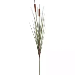 Potted Brown Cats Tails Grass, 48 in.