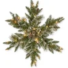Pre-Lit Frosted Pine Christmas Snowflake Wreath