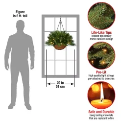 Pre-Lit Tiffany Fir Christmas Hanging Basket