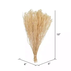 Preserved Natural Bleached Staavia Bush