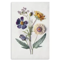 Pressed Flower Memories I Canvas Art Print