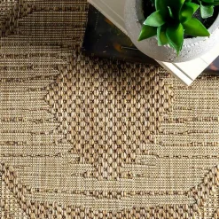Raina Brown Tribal Zig Zag Outdoor Rug, 5x8