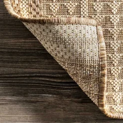 Raina Brown Tribal Zig Zag Outdoor Rug, 5x8