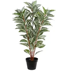 Real Touch Zebra Plant in Nursery Planter