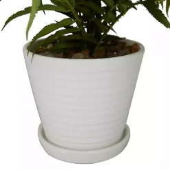 River Rock Fern in Ribbed White Planter