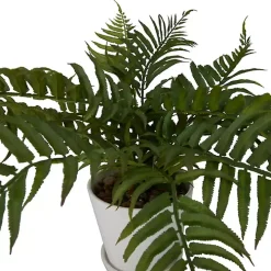 River Rock Fern in Ribbed White Planter