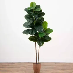 Rubberwood Tree in Planter, 6 ft.