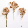 Rust Cymbidium Stems, Set of 3