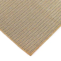 Sand Intertwine Indoor/Outdoor Area Rug, 4x7