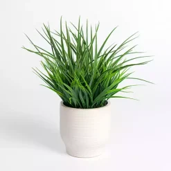 Seagrass Arrangement in White Pot