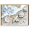Seashells by the Seashore Framed Canvas Art Print