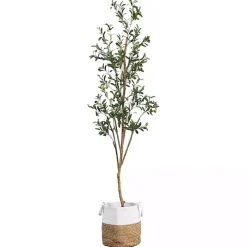 Slim Olive Tree in Woven Planter, 7 ft.