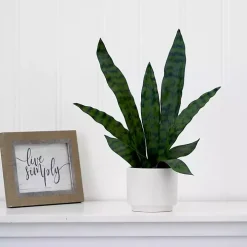 Snake Plant Arrangement in White Planter