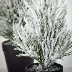 Snowy Potted Mini Pine Trees, Set of 2