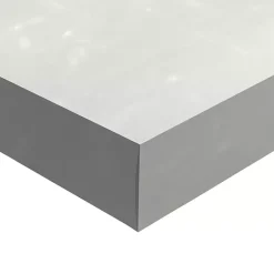 Snowy Truck Canvas Art Print