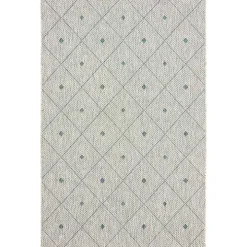 Solitaire Sun Shower Outdoor Area Rug, 5x8