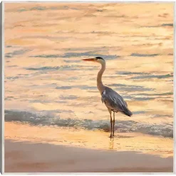 Sunset Shore Framed Canvas Art Print