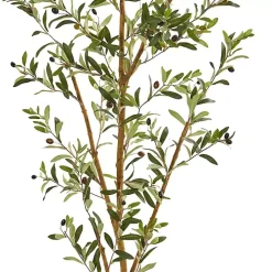 Tall Potted Olive Branch Tree, 82 in.