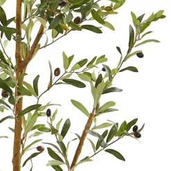 Tall Potted Olive Branch Tree, 82 in.