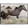 Thunder Ridge Distressed Framed Canvas Art Print