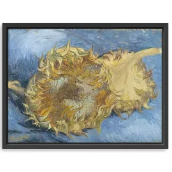 Two Cut Sunflowers Framed Canvas Art Print