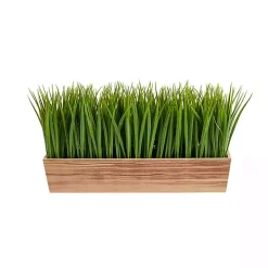 Vanilla Grass in Rustic Wood Planter