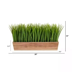 Vanilla Grass in Rustic Wood Planter