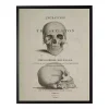 Vintage Skull Framed Halloween Wall Art