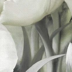 White Angelique Tulips Canvas Art Print, 40x30 in.
