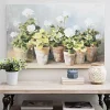 White Geraniums Canvas Art Print, 40x26 in.