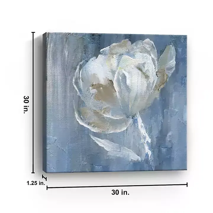 White on Blue Canvas Art Print, 30x30 in.