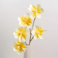 Yellow Japanese Magnolia Foam Spray