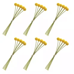 Yellow Pod Sprays, Set of 6